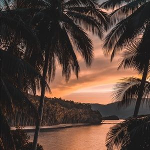 Meet your Posher, Zain